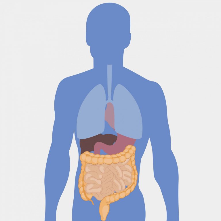 直腸機能障害の症状・治療法などを解説